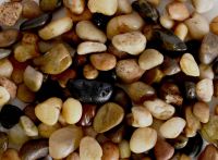 Mixed Polished Pebbles